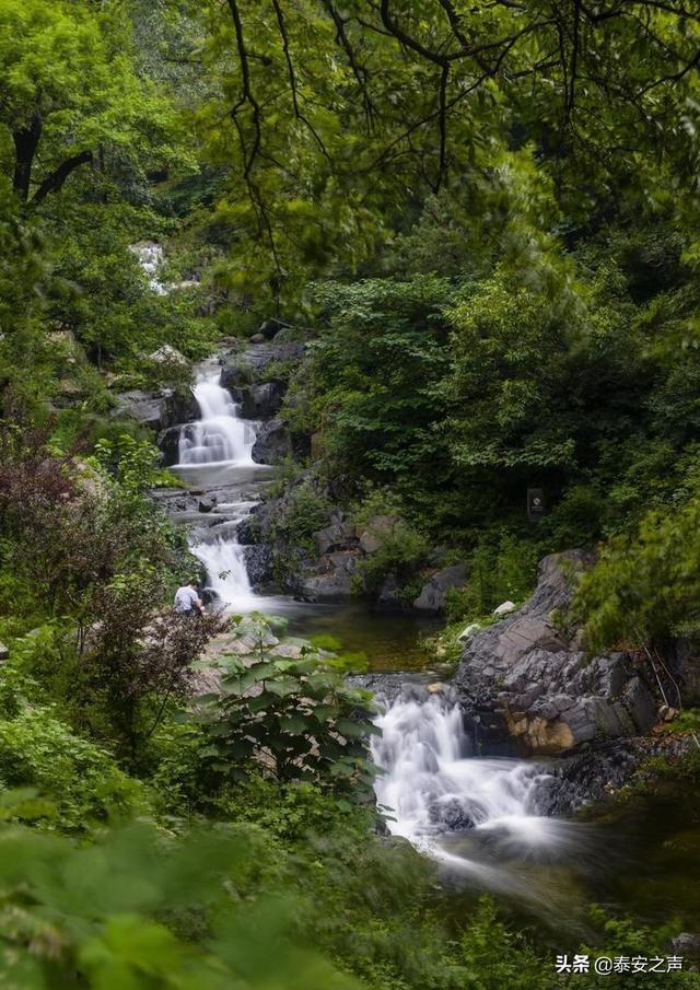 揭秘史前灭绝生物奥秘”专题讲座暨《昆虫历史博物馆》新书发布会